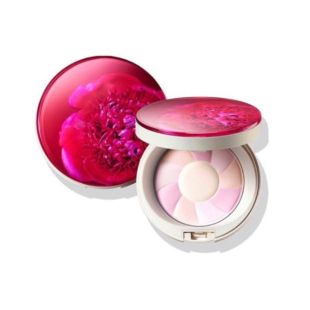 Infinity Cushion Foundation Case Royal Flower Edition